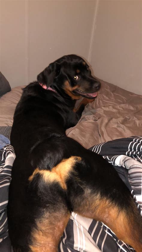 violet2valid onlyfans nude|Violet2valid HOT Sex Tape Doggy Fucking Big Cock Onlyfans .